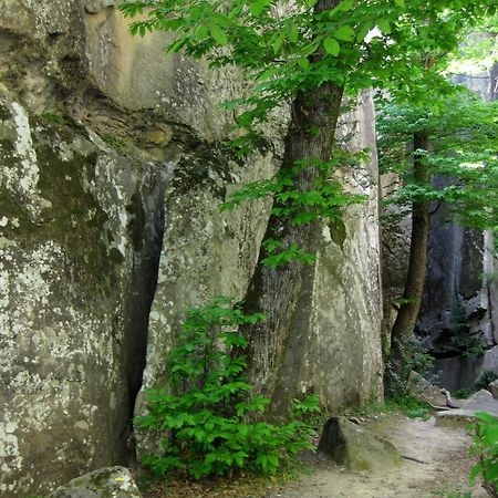 Les Callunes Anciennement Le Beausejour Annot Buitenkant foto